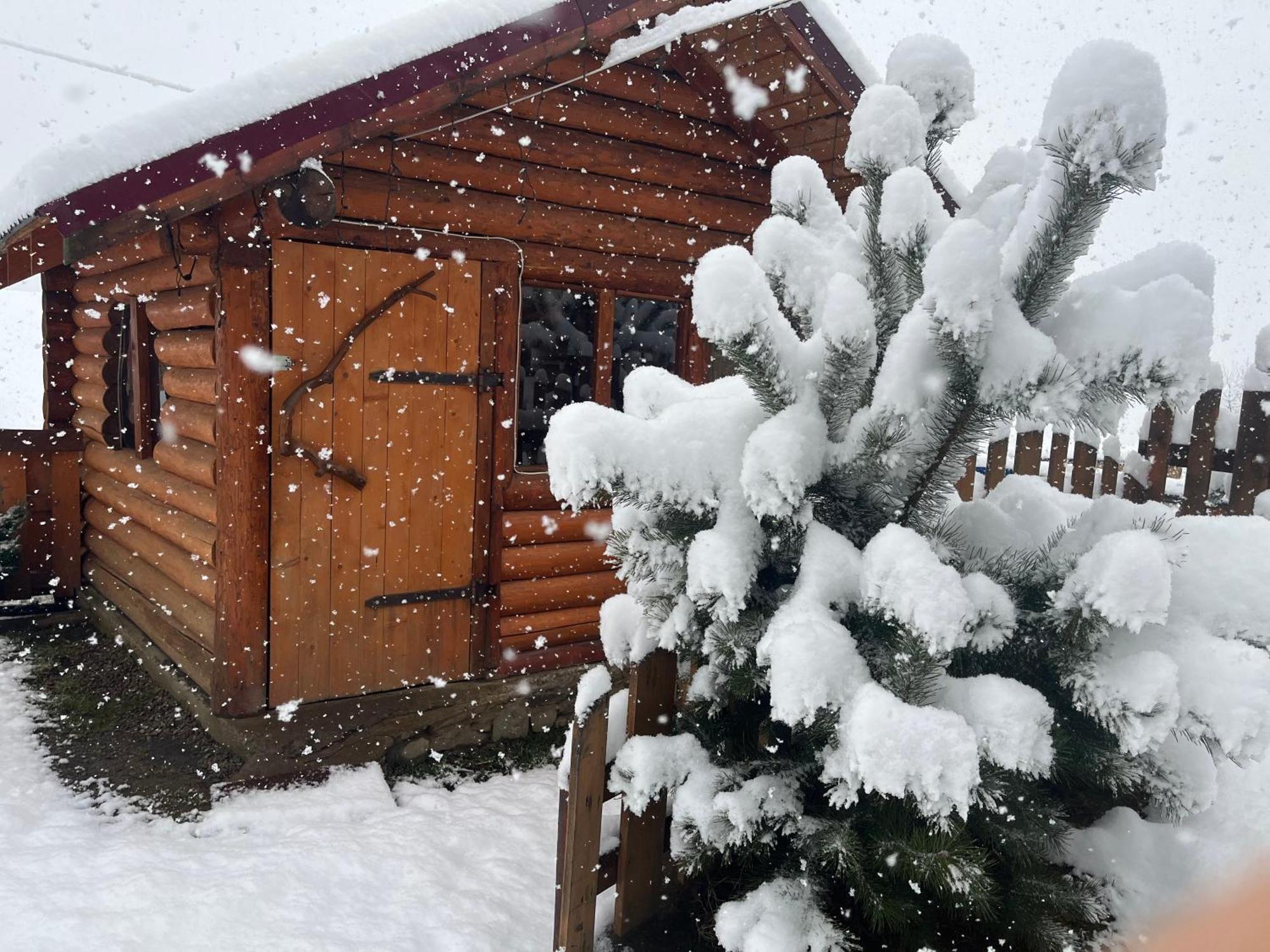 Villa Hirska Vatra Slavske Esterno foto