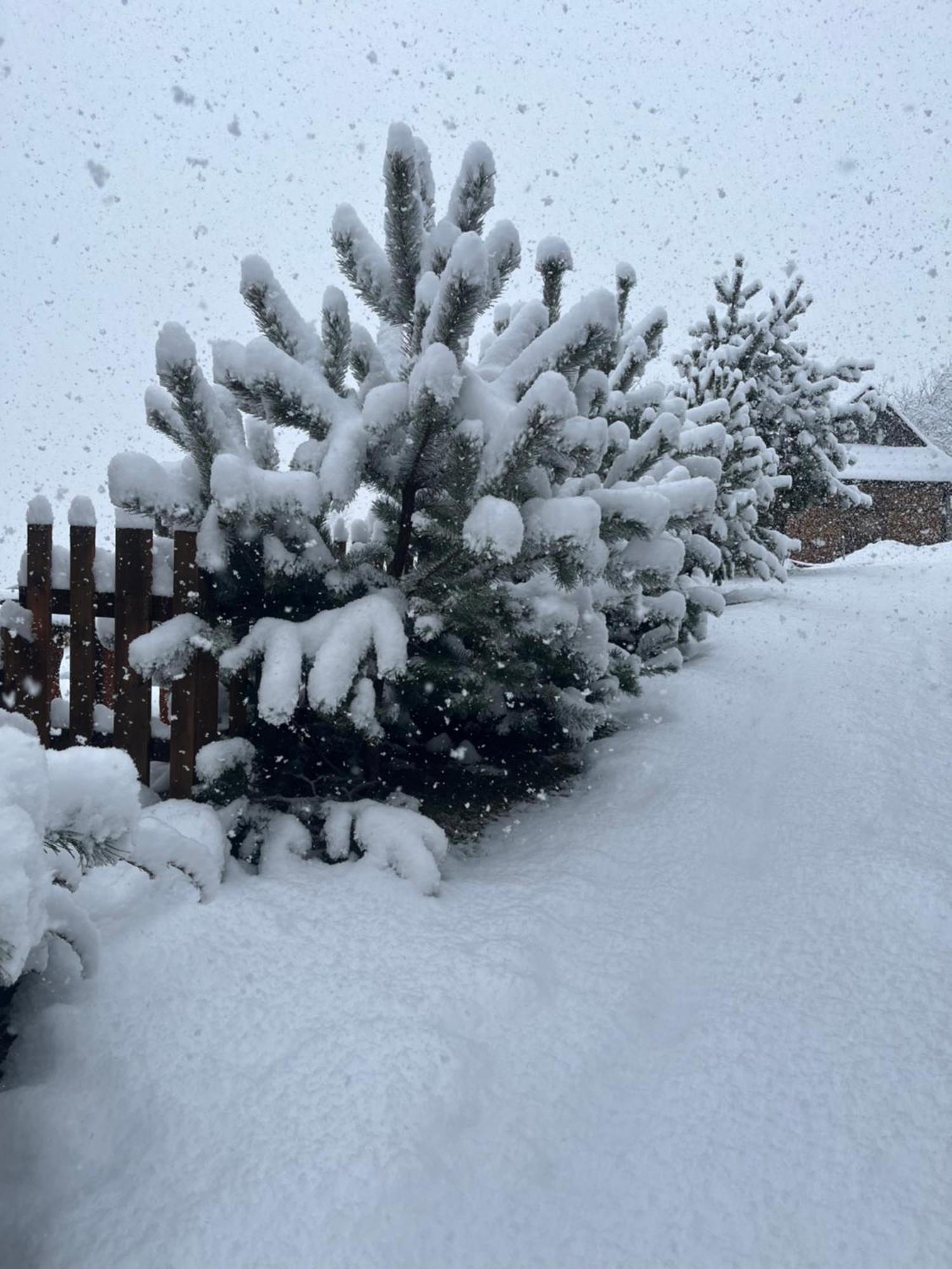 Villa Hirska Vatra Slavske Esterno foto