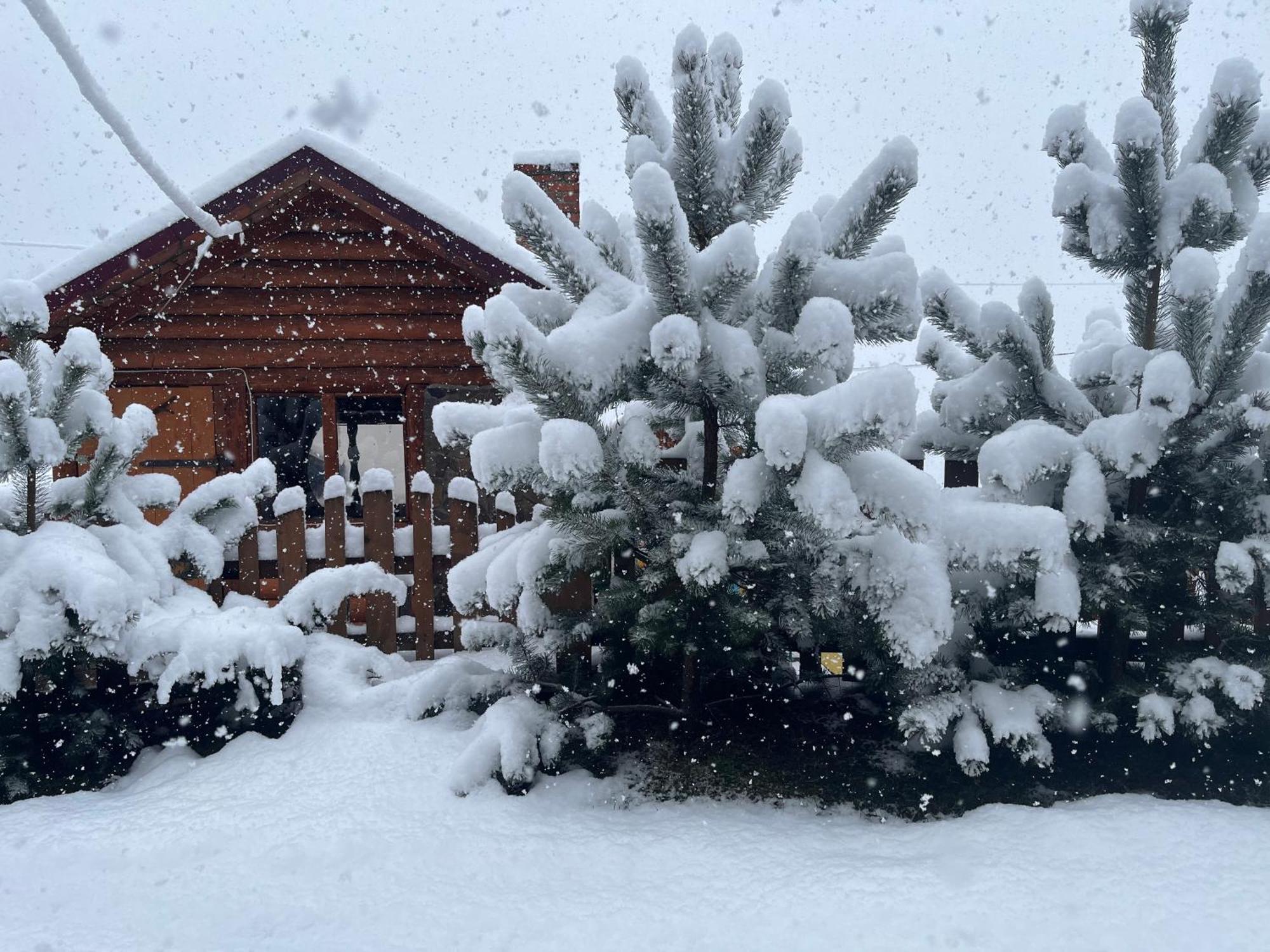 Villa Hirska Vatra Slavske Esterno foto
