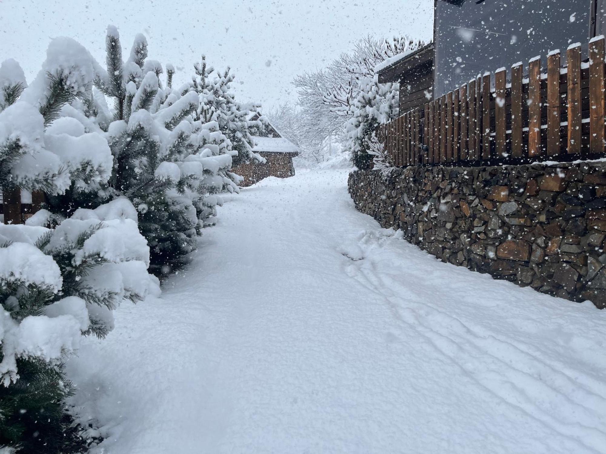 Villa Hirska Vatra Slavske Esterno foto
